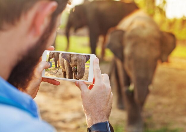 Hombre fotografiando elefante bebé con la cámara de su teléfono móvil