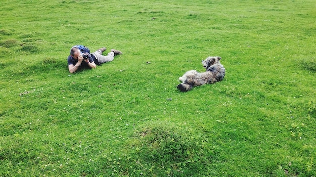 Foto hombre fotografiando a un perro mientras yace en un campo de hierba