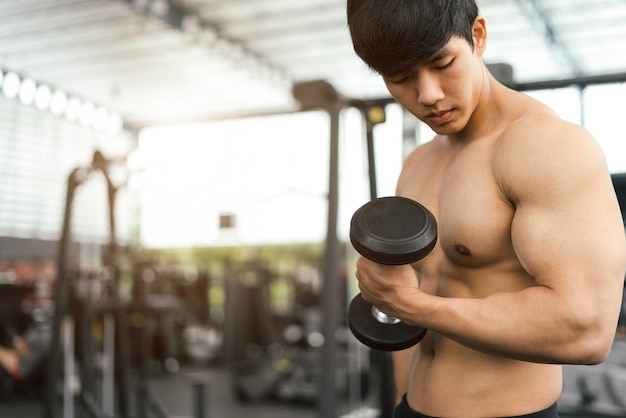 hombre fuerte aptitud posando cuerpo musculoso y haciendo ejercicios para culturista en el gimnasio