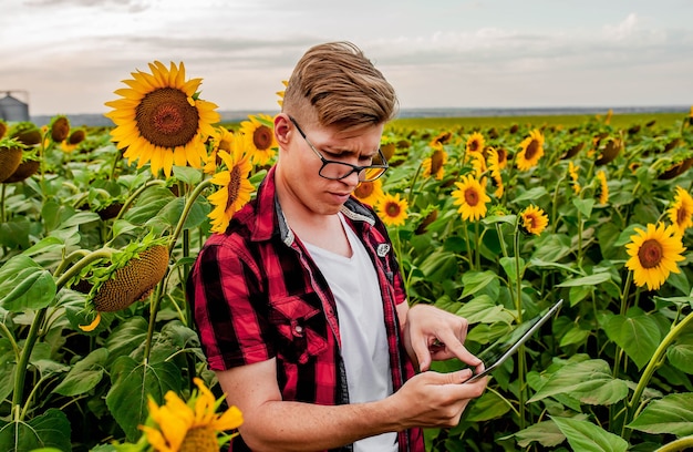 Hombre con gafas y una tableta en el campo de girasol