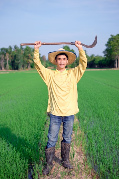 Hombre de granjero asiático viste camisa amarilla de pie y sosteniendo la herramienta en la cabeza en verde