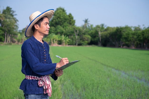 El hombre del granjero asiático viste la escritura del traje tradicional para planificar su trabajo en la granja de arroz verde.