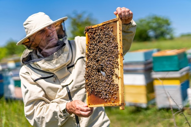 Hombre guapo de cultivo de miel apicultor de apicultura trabajando con panales