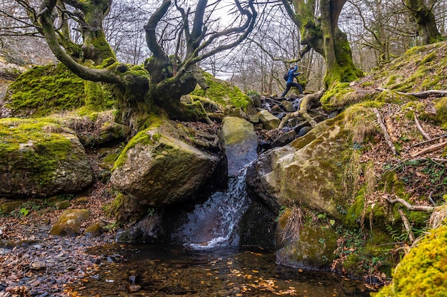 Foto un hombre en el hayedo en la subida al monte adarra junto a una cascada en el municipio guipuzcoano de urnieta cerca de san sebastián país vasco