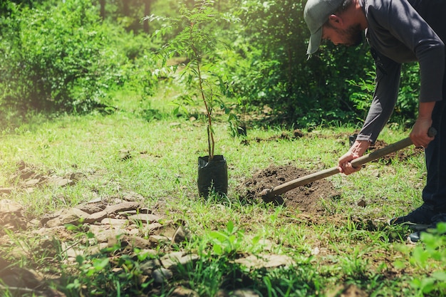 Hombre hipster con azada para cavar hoyos plantando árboles al aire libre.