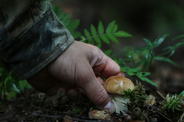 Hombre de hongos boletus