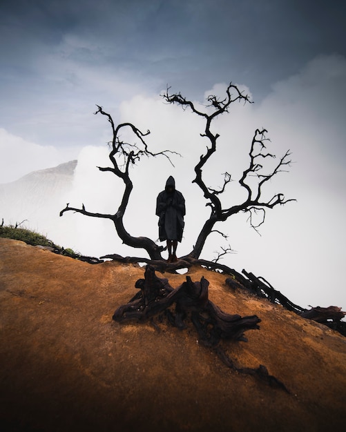 Hombre en un impermeable con un árbol negro seco