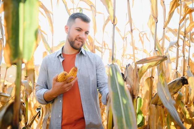 Un hombre inspecciona un campo de maíz y busca plagas Granjero exitoso y agronegocios