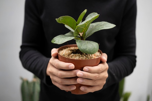 hombre, jardinería, tenencia, planta en maceta