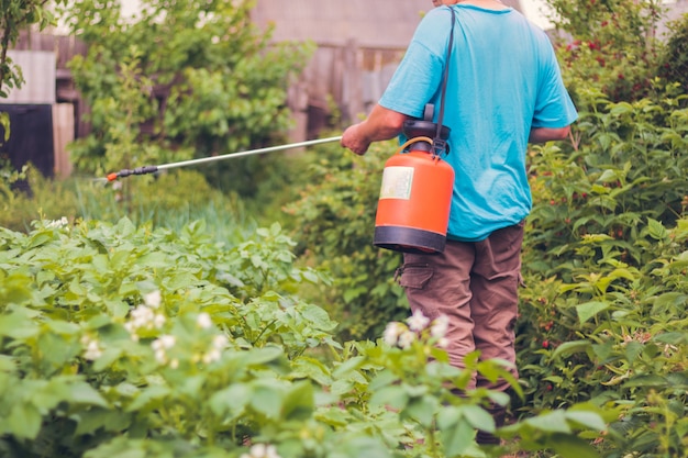 Hombre de jardinería en verano