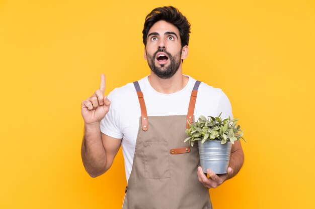 Hombre jardinero con barba sobre pared amarilla aislada apuntando con el dedo índice una gran idea