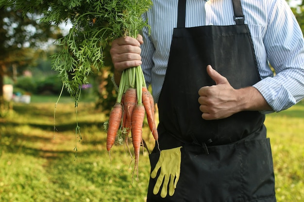 Hombre jardinero con cosecha de zanahoria en una mano