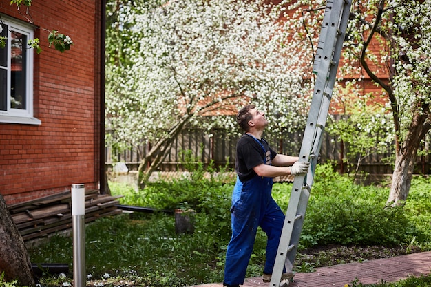 Hombre jardinero pone una escalera a un árbol para cortar los árboles.