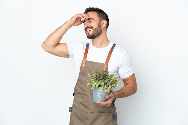 Hombre jardinero sosteniendo una planta aislada en la pared blanca sonriendo mucho