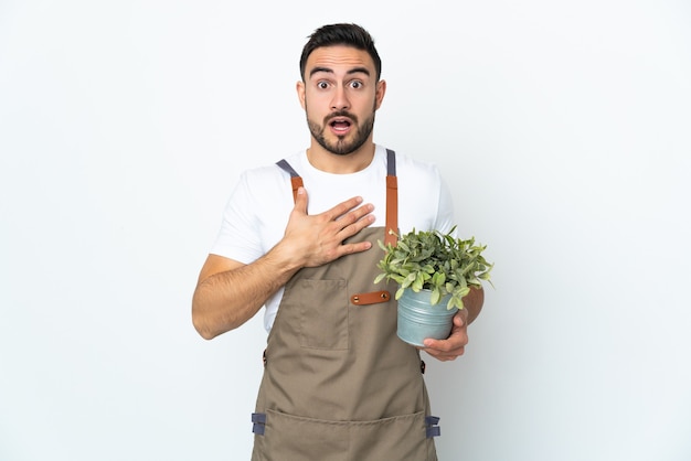 Hombre jardinero sosteniendo una planta aislada sobre fondo blanco sorprendido y conmocionado mientras mira a la derecha