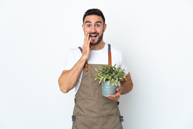 Hombre jardinero sosteniendo una planta aislada sobre fondo blanco con sorpresa y expresión facial conmocionada