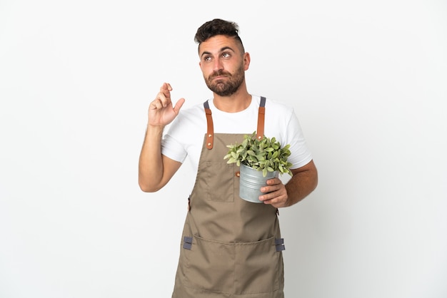 Hombre jardinero sosteniendo una planta sobre pared blanca aislada con los dedos cruzando y deseando lo mejor