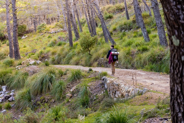 Hombre joven excursionista caminando por un sendero de montaña en medio de un vasto bosque de pinos y maleza, el hombre por detrás lleva una mochila grande con equipo de campamento.