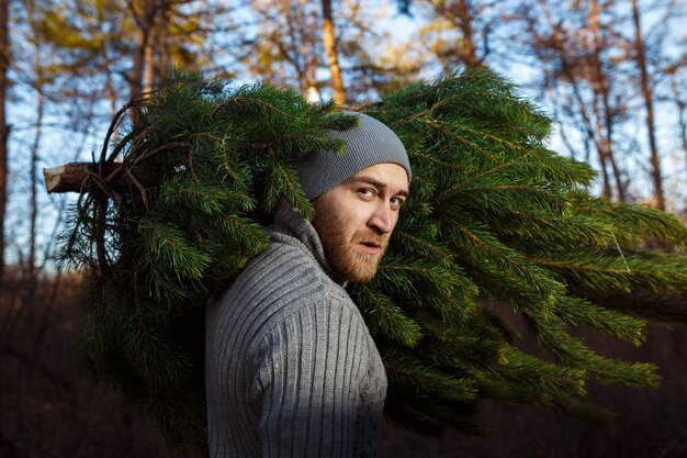 El hombre joven lleva el árbol de Navidad en la madera. hombres con barba llevan a casa un árbol de Navidad. vestido con un suéter