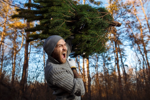 El hombre joven lleva el árbol de Navidad en la madera. hombres con barba llevan a casa un árbol de Navidad. vestido con un suéter