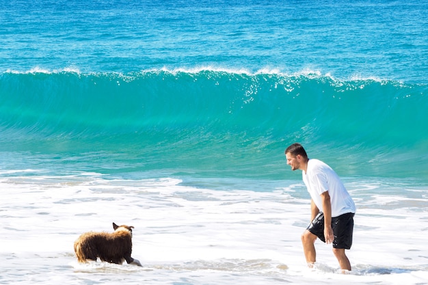 Un hombre juega con un perro en la playa del océano. Día soleado y grandes olas.