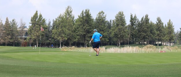 hombre jugando al golf en un campo verde