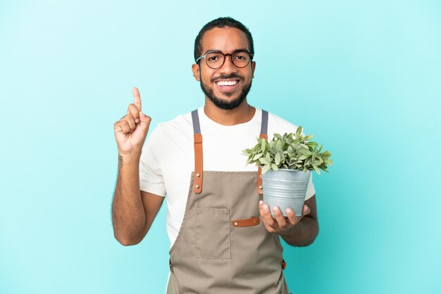Hombre latino jardinero sosteniendo una planta aislada de fondo azul señalando una gran idea