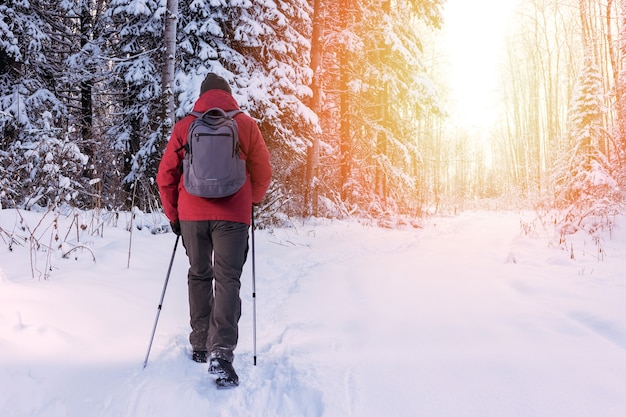 Hombre maduro o adulto senderismo y nordic walking en la naturaleza invernal. Personas activas al aire libre. Concepto de estilo de vida saludable.