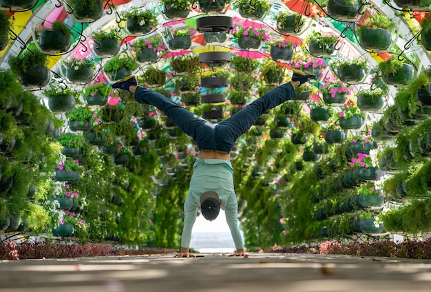 El hombre mantiene el equilibrio en las manos en el colorido arco de flores y paraguas en la estación Corniche. Doha, Qatar. Concepto de salud y fuerza.