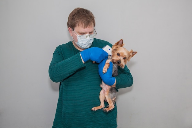 Un hombre con una máscara y guantes con un termómetro mide la temperatura de un perro