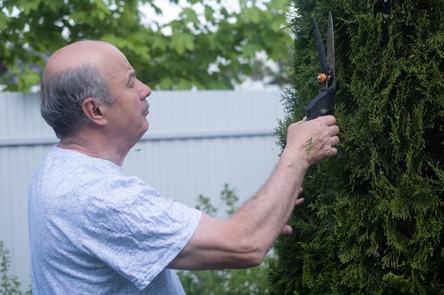 El hombre mayor está recortando arbustos en su jardín con una gran tijera de podar
