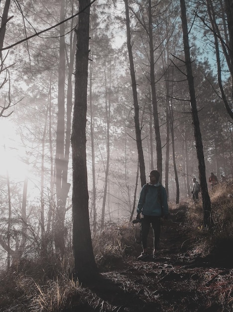 Foto hombre en medio de árboles en el bosque