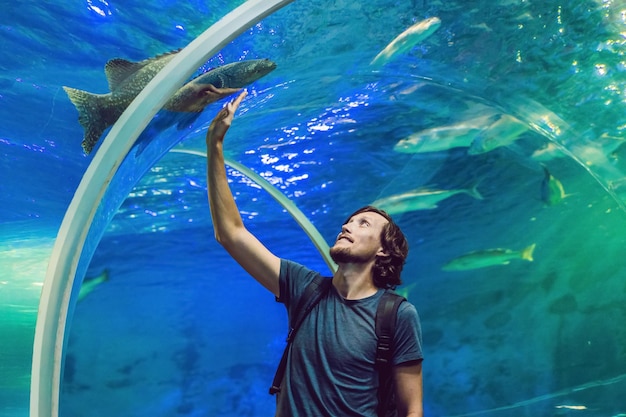 El hombre mira los peces en el acuario.