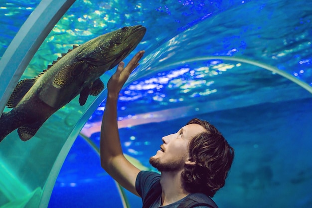 El hombre mira los peces en el acuario.