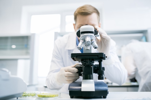 Hombre mirando el microscopio en laboratorio