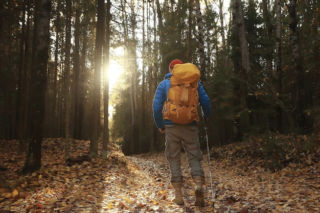 hombre con mochila una vista desde atrás, senderismo en el bosque, paisaje otoñal, la espalda de turista con mochila