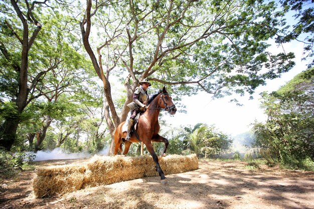 Foto hombre montando a caballo en el bosque.