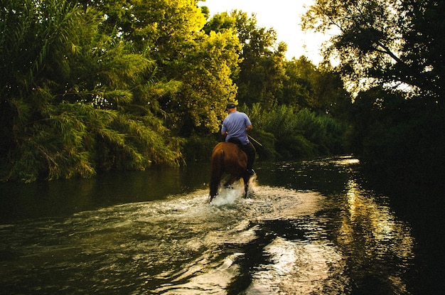 Hombre montando a caballo a través de un río en el bosque en verano