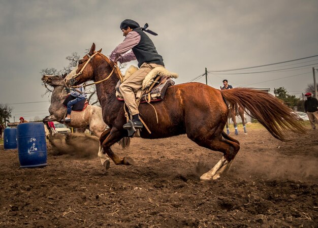 Foto hombre montando caballos en tierra