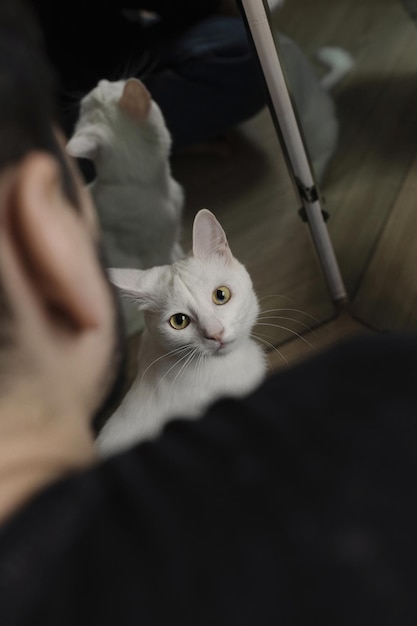 Hombre moreno con gracioso gato blanco amistad entre hombre y gato