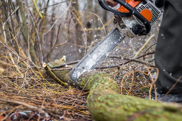 Un hombre con una motosierra cortando un tronco, talando un bosque, recogiendo leña