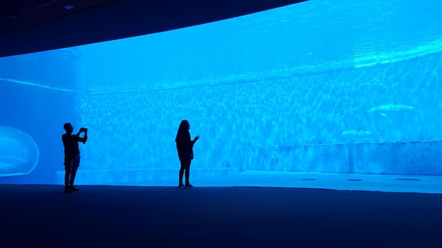 Hombre y mujer en el acuario
