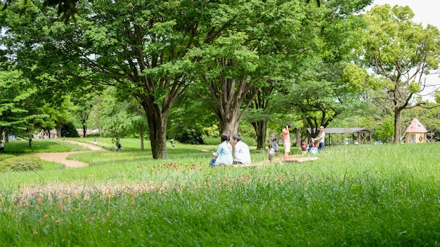 Hombre y mujer relajándose en el parque.