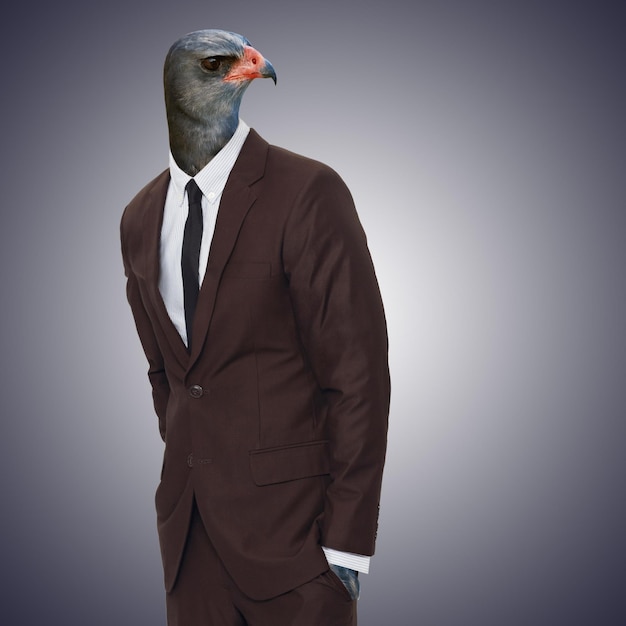 Foto hombre de negocios y empleado con una carrera de cabeza de animal y consultor en un estudio oscuro emprendedor y consultor profesional masculino con una cara de pájaro extraña y carrera con extraño