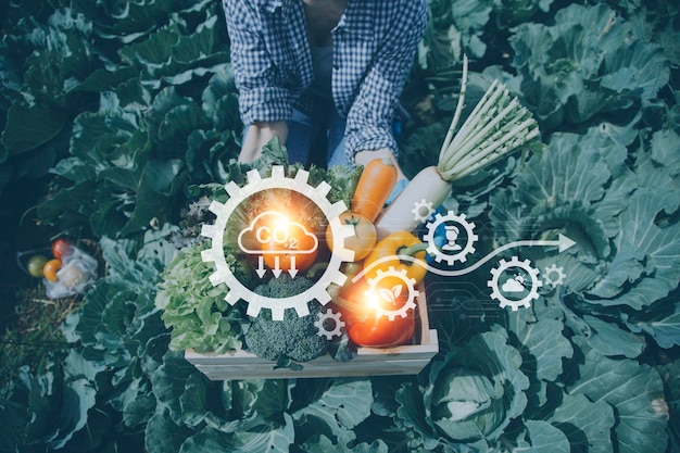 Un hombre de negocios futurista cultiva vegetales y cultivos usando tecnología moderna de IA usando sensores de temperatura y humedad de teléfonos móviles seguimiento de agua íconos de datos de datos holográficos de control climático