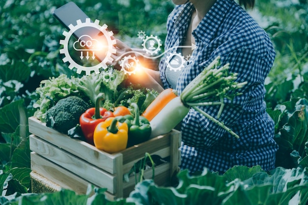 Un hombre de negocios futurista cultiva vegetales y cultivos usando tecnología moderna de IA usando sensores de temperatura y humedad de teléfonos móviles seguimiento de agua íconos de datos de datos holográficos de control climático