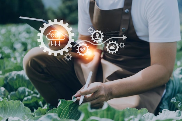 Un hombre de negocios futurista cultiva vegetales y cultivos usando tecnología moderna de IA usando sensores de temperatura y humedad de teléfonos móviles seguimiento de agua íconos de datos de datos holográficos de control climático