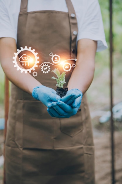 Un hombre de negocios futurista cultiva vegetales y cultivos usando tecnología moderna de IA usando sensores de temperatura y humedad de teléfonos móviles seguimiento de agua íconos de datos de datos holográficos de control climático