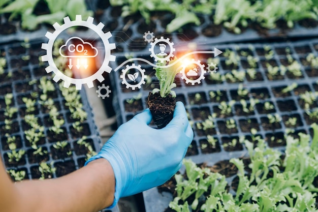 Foto un hombre de negocios futurista cultiva vegetales y cultivos usando tecnología moderna de ia usando sensores de temperatura y humedad de teléfonos móviles seguimiento de agua íconos de datos de datos holográficos de control climático