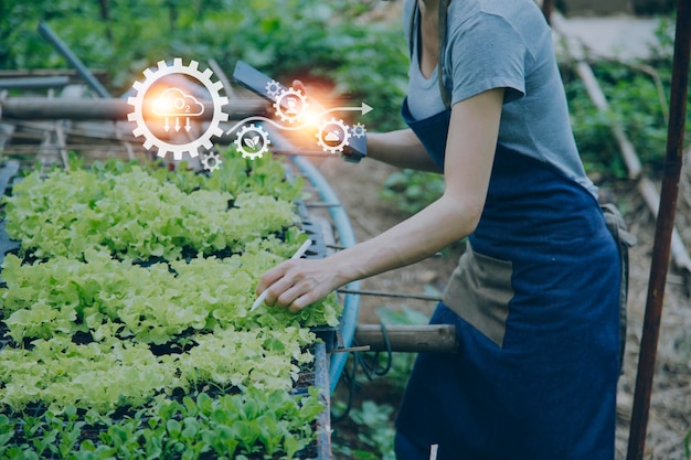 Un hombre de negocios futurista cultiva vegetales y cultivos usando tecnología moderna de IA usando sensores de temperatura y humedad de teléfonos móviles seguimiento de agua íconos de datos de datos holográficos de control climático